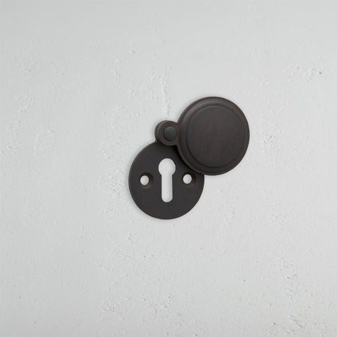 bronze door handles