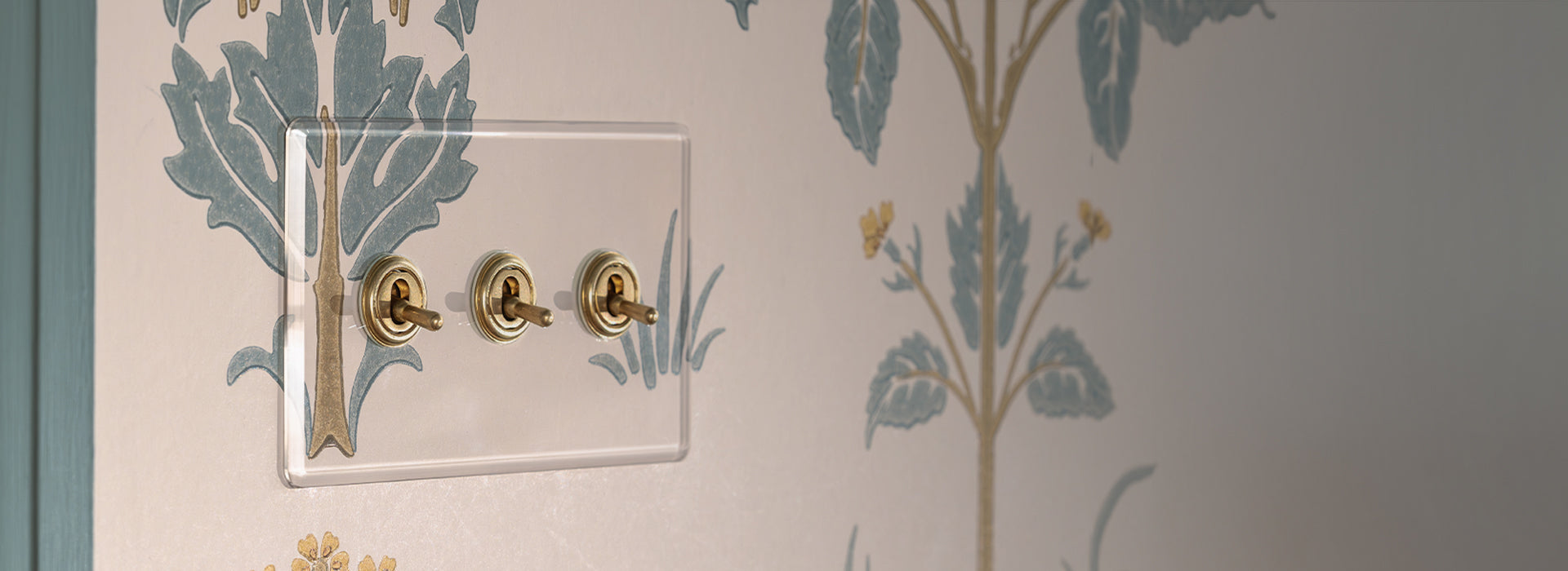 Clear Antique Brass 4G dimmer light switch