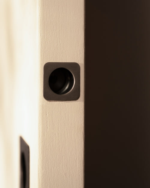 P-L1