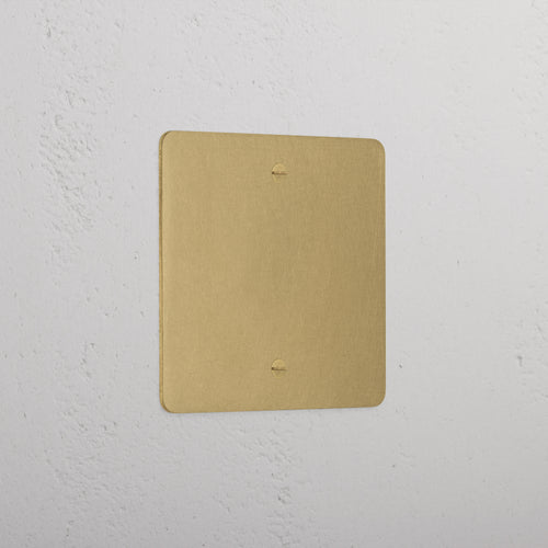 Elegant Antique Brass 1 Gang Blank Plate