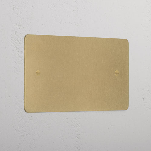Antique Brass Double Blank Plate