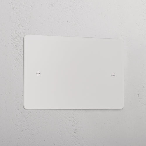 2G Blank Plate _ Paintable
