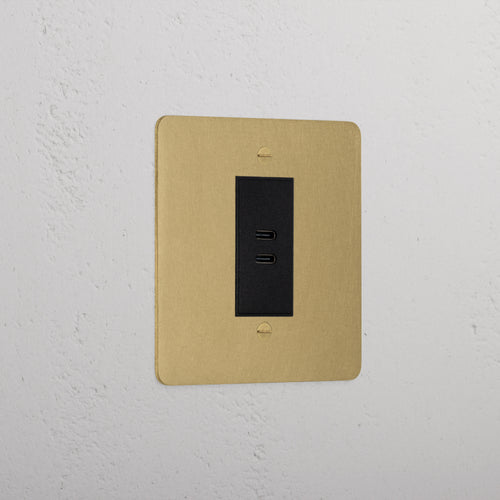 Elegant Antique Brass Usb C+C Socket Black